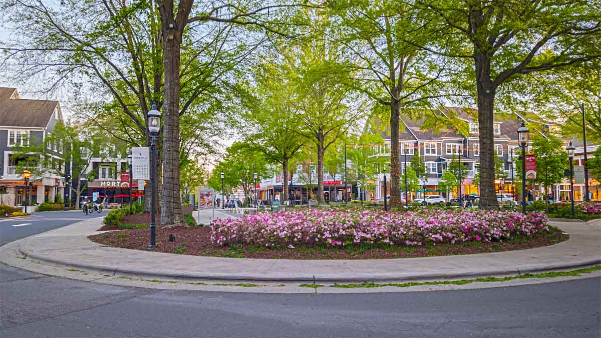 2025April-Birkdale.NIGHT