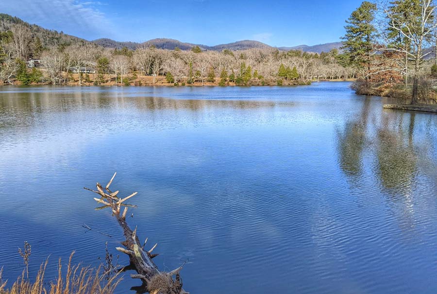 Beaver lake in Asheville NC.